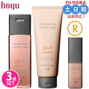 ホーユー プロマスター カラーケア リッチ シャンプー 250mL + トリートメント 200g + アウトバストリートメント モイスト 80mL セット パサつき 補修 シャンプー 美容室専売品 サロン専売品 母の日 ギフト