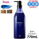 ホーユー ソマルカカラーシャンプー アッシュ 770ml アッシュシャンプー ヘアカラーシャンプー ソマルカシャンプー ヘアカラー 長持ち 業務用 カラーリング サロン専売品 サロン 美容室専売