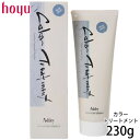 ホーユー アシュレー カラートリートメント ブルーグレイ 230g ヘアマニキュア 髪染め サロン専売品 美容室専売