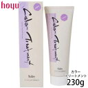 ホーユー アシュレー カラートリートメント パープル 230g ヘアマニキュア 髪染め ヘアカラー 美容室専売 サロン専売品