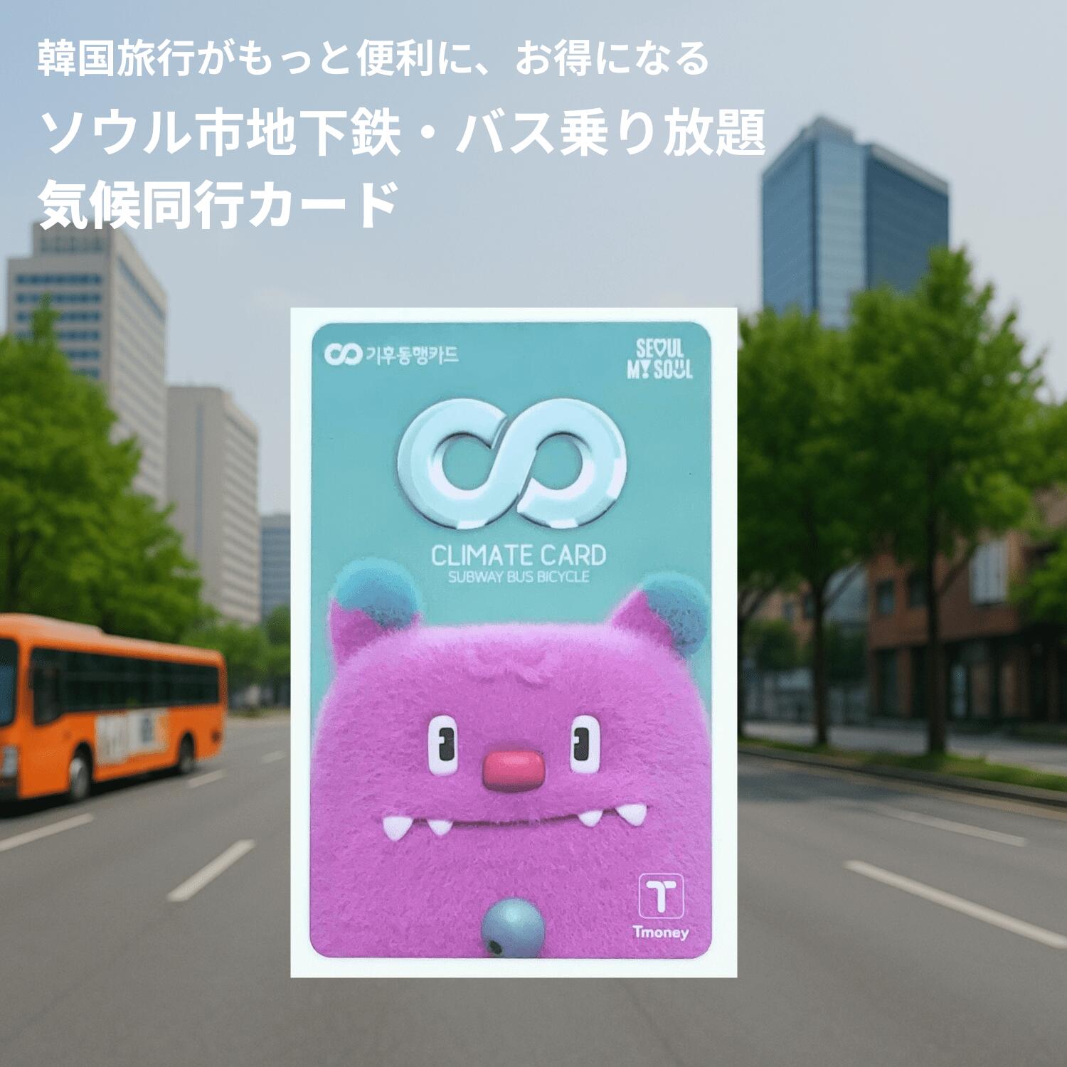 気候同行カード 韓国交通カード 限定デザイン Haechi 1日 2日 3日 5日 7日 30日 日本受取 渡韓