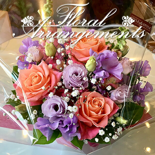 ̵֤ۤΥ󥸥Ȳ«35«եȥե󥸥ȥץ쥼ȥץ饤ˤǰ뺧ǰ뺧ˤ࿦ˤǯ̲񥯥ꥹޥξȯɽ
