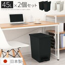 2個セット くずかご ゴミ箱 両開き 45l フタ付きゴミ箱 キッチンカウンター ダストボックス 2個組 四角 抗菌 防汚 観音開き フタ付き キャスター付 庫内分別 分別 大容量 棚下 デスク下 オフィス 会社 ブラック/ホワイト SOLOW DTB600098