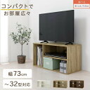 【組立品/完成品が選べる】 コンパ