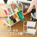 【組立品/完成品が選べる】 ファイ