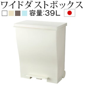 分別ごみ箱 分別ダストボックス ゴミ箱 ごみ箱 ダストBOX 縦型 39l スリム 薄型 四角 ペダル ふた付 キャスター付 日本製 国産 トラッシュボックス ペール くずかご ごみばこ リビング おしゃれ