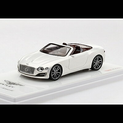 TSM Model(トゥルースケール) BENTLEY EXP 12 SPEED 6E(1/43) TSM430283