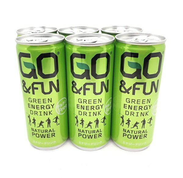 GO&FUN　グリーンエナジードリンク250ml　6本入り