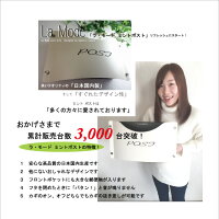 鍵付きデザインポストミントプラス郵便ポスト郵便受け北欧スタンドスタンドタイプ壁付け壁掛け置き型ポストスタンドポスト人気ポストおしゃれ