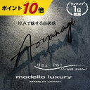 【ポイント10倍！】5mm厚 ステンレス表札【リュクス】【スピード配送】 おしゃれなサイン風文字 貼り付け ピン アイアン調 ネームプレート 戸建て 切り文字 ローマ字 国内生産 日本製