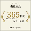 【豪華特典あり！】【楽天ランキング1位受賞】表札 ステンレス【ラ・モード リザーラ】【スピード配送】3mm厚 5mm厚 アイアン調 ネームプレート 戸建て おしゃれ 切り文字 ローマ字 漢字 国内生産 日本製 2