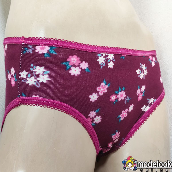 綿100% オリジナル レディース ラッキーアイテム ショーツ パンティー M L LL　かわいい　安い　ポイント消化　ポイント消費　まとめ買い　レディース 福袋 ショーツスタイル ショーツコーデ 新生活 日 限定 %　赤 新生活 応援 セット modelook-10012230 モデルルック 楽天市場店 サンプル画像2