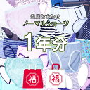 1年分 365 枚 組 セット 福袋 ノーマル ショーツ パンティー レディース かわいい パンティー 女の子 女児 パンツ ショーツ 綿100% 弱 ポリエステル 肌着 キッズ ショーツ パンツ 子供 ガールズショーツ 新生活 応援 セット
