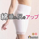 夏用 綿 ハイウエスト ロング ガードル ガードル 骨盤 産後 アトピー ハイウエスト ポッコリお腹 ヒップアップ ロング ガードル ショーツ 補正下着 補正 ...