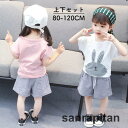 セットアップ 上下セット 半袖Tシャツ 半ズボン キッズ 子供服 女の子 夏服 春服 ショートパンツ ゴムウエスト ウサギ 兎 カジュアル かわいい
