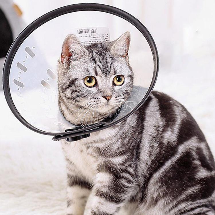 エリザベスカラー エリカラ 犬用 猫用 ペット用品 術後保護 介護 手術服 抗菌消臭 術後服 傷舐め 足舐め 引っかき防止 傷口 皮膚炎症 医療用