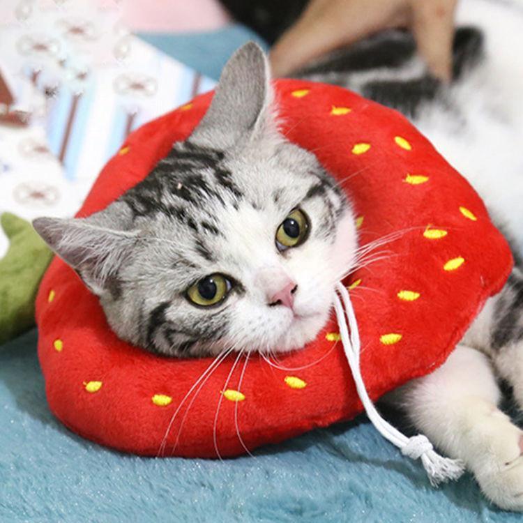 エリザベスカラー エリカラ 犬用 猫用 ペット用品 術後保護 介護 手術服 抗菌消臭 術後服 傷舐め 足舐め 引っかき防止 傷口 皮膚炎症 医療用 美容 避妊