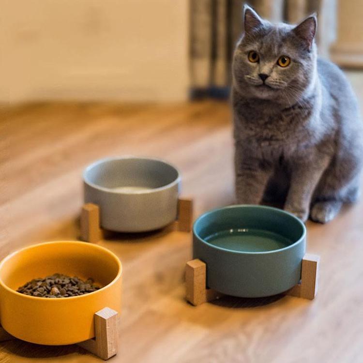 給餌器 猫 犬 給餌器 ペットボトル ペット ペットフィーダー 水飲み器 給水器 給水タンク　ペット用品..