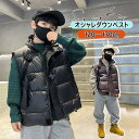 ダウンベスト 男の子 子供服 中綿ベスト キッズ 150 キッズ服 キッズベスト 女の子 防風 防寒 保温 前開き 可愛い 110/120/130/140/15...