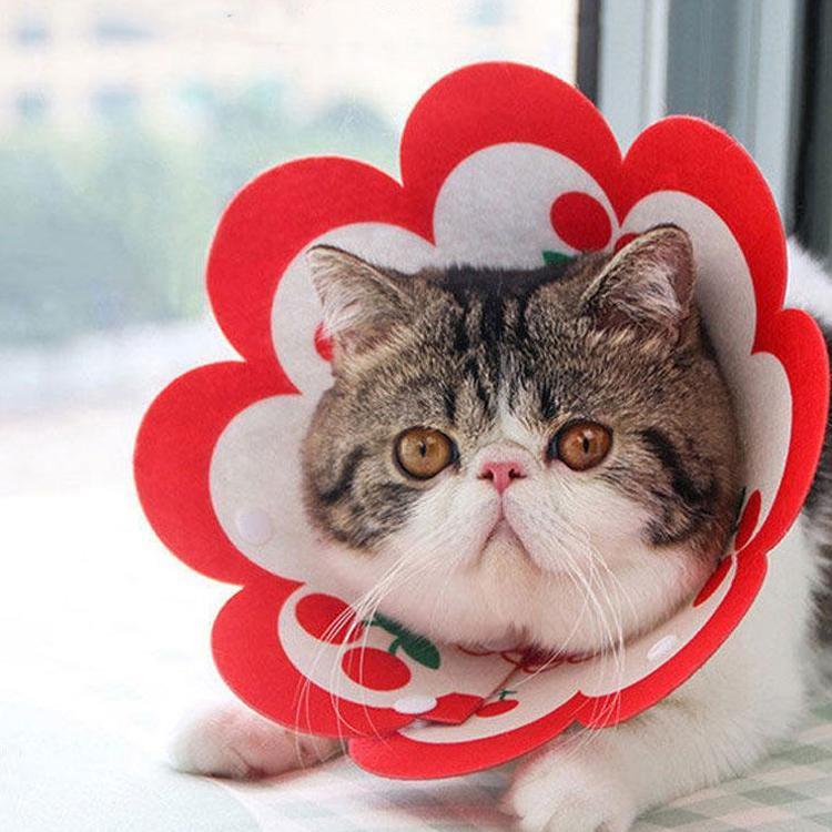 エリザベスカラー エリカラ 犬用　猫用 ペット用品　術後保護 介護 手術服 抗菌消臭 術後服 傷舐め 足舐め 引っかき防止 傷口 皮膚炎症 医療用 美容 避妊