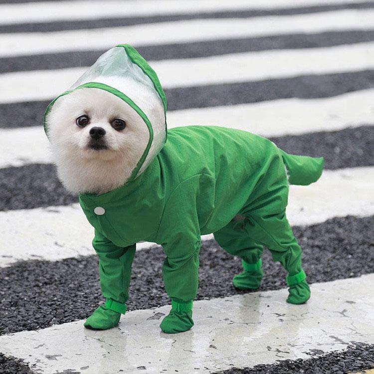  쥤󥳡 淿   å  ɿ ɥå ڥå ɥå ڥåȥݥ ߱  Ф ɱ ڥåȥ쥤󥰥å