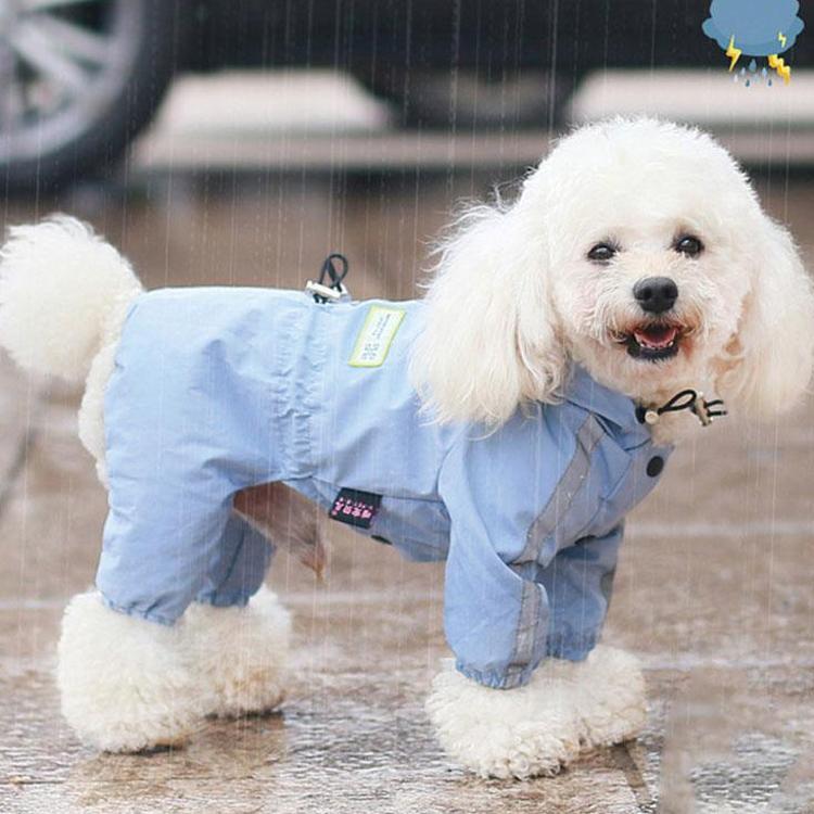  쥤󥳡 淿   å  ɿ ɥå ڥå ɥå ڥåȥݥ ߱  Ф ɱ ڥåȥ쥤󥰥å