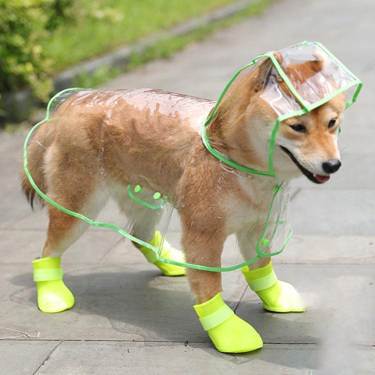 1 2å  쥤󥳡 淿   å  ɿ ɥå ڥå ɥå ڥåȥݥ ߱  Ф ڥåȥ쥤...