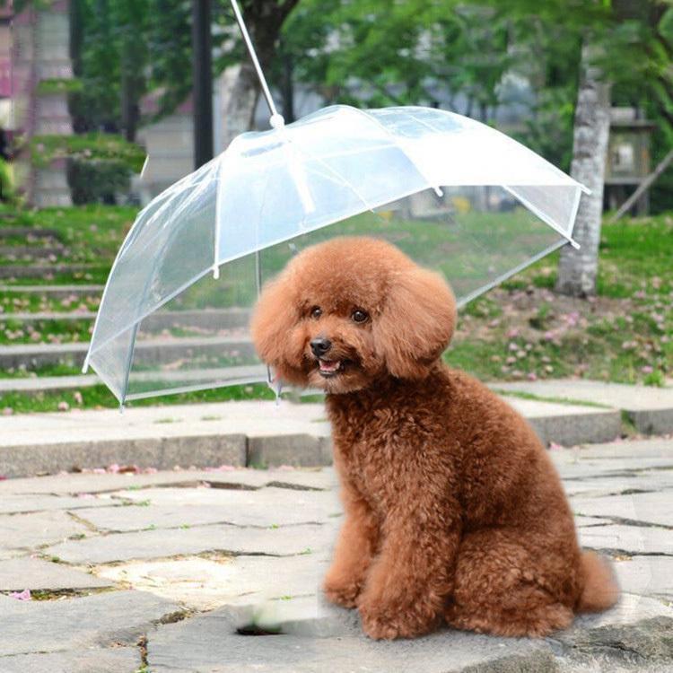 ペット用傘 犬用傘 猫用傘 ペット傘 ペットアンブレラ 雨具 小型犬 中型犬 梅雨 お散歩グッズ　リード ..
