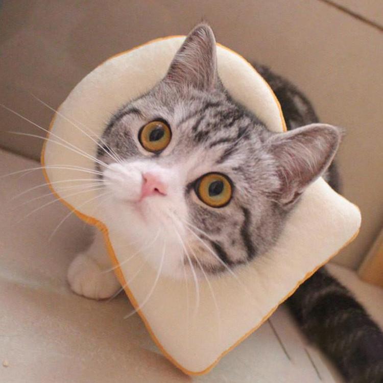 エリザベスカラー エリカラ 犬用　猫用 ペット用品　術後保護 介護 手術服 抗菌消臭 術後服 傷舐め 足舐め 引っかき防止 傷口 皮膚炎症 医療用 美容 避妊