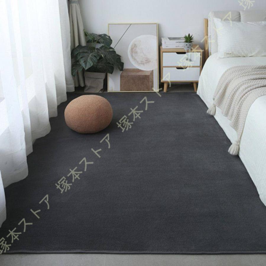 カーペット ラグ 長方形 ラグマット ラグカーペット オールシーズン 防音マット 滑り止め付き 無地 抗菌 防臭 防ダニ絨毯 北欧 極厚 高反発