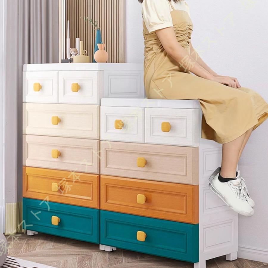 衣類収納 押入れ収納 おもちゃ収納 衣替え 収納ボックス 蓋付き ボックス 収納家具 クローゼット 奥行50 プラスチック 収納用品 キッチン収納 天袋 押し入れ