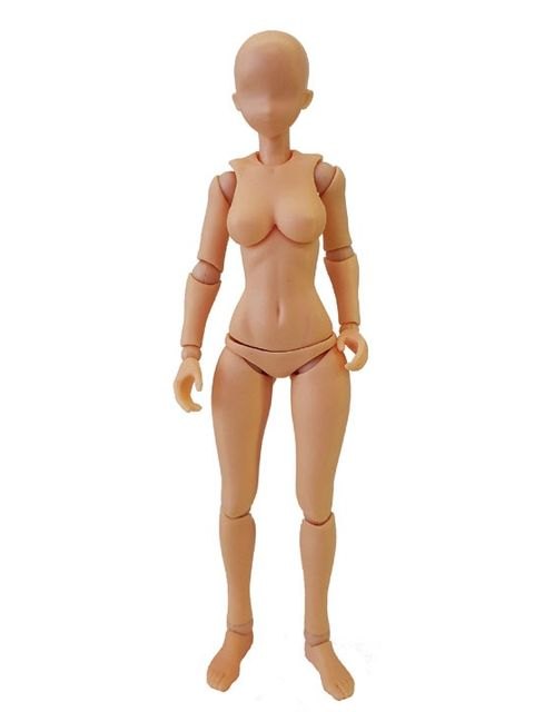 乐天商城 - ホビーベース 1/12素材ちゃんM フレッシュ プレミアムパーツコレクション 関節技EX