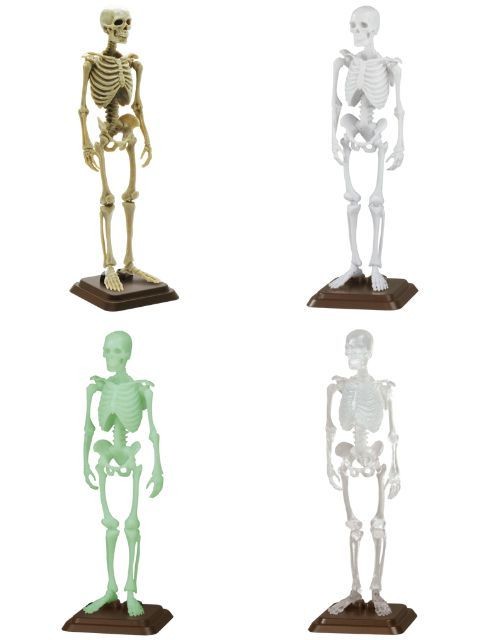 SO-TA ��ʪ��ǥ�󥰶�������� 1/12�ҥȹ���2 �ڥ����ࡦñ�������