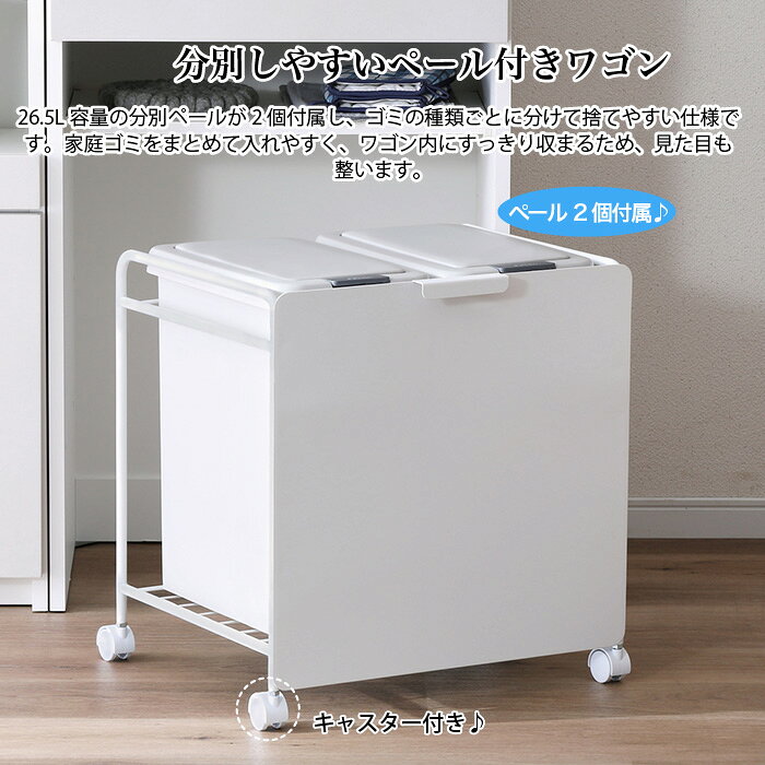 ゴミ箱 分別ワゴン 分別ゴミ袋ワゴン 26.5L×2 ペール付き キャスター付き スリム ごみ袋スタンド アイアン製 収納 省スペース 台所 ダイニング ホワイト ブラック [2]