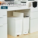 ゴミ箱 両開き 45L 45リットル ふた付き 1個 単品 ペダル式 キャスター付き ごみ箱 ダストボックス 足踏み ペダルペール シンプル おしゃれ 高級感 角型 縦型 長方形 棚下 カウンター下 レンジ台 すきま 2分別 台所 キッチン スリム【北海道・沖縄・離島配送不可】