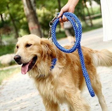 編込み タイプ チョーク 首輪 ハーネス リード DauStage 小型犬 中型犬 大型犬 トートバッグ 付き 4点セット (S