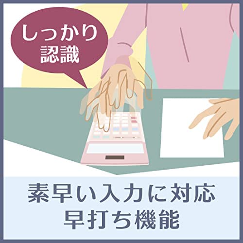 【200円引クーポン付】 カシオ 本格実務電卓 12桁 検算機能 グリーン購入法適合 デスクタイプ DS-20WK 送料無料