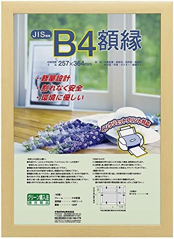 ナカバヤシ 樹脂製軽量額縁 木地 B4(JIS規格) フ-KWP-56 送料無料