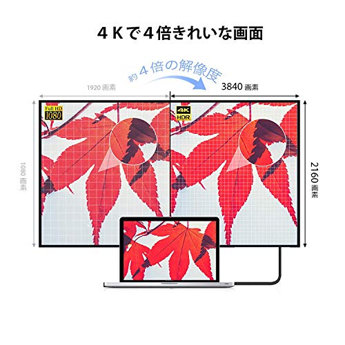 【ポイント2倍】 【クーポン付】 HDMI ケーブル3M/4K対応/スリム端子iVANKY プレミアムHDMI2.0規格 18gbps 送料無料 2