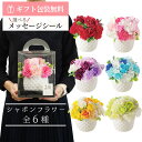 シャボンフラワー pot ソープフラワー 花 ギフト プチギフト フラワーギフト アレンジメント フラワーソープ ペット 造花 供花 メモリアルフラワー 結婚記...