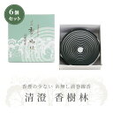 【 渦巻線香 玉初堂 】線香 『 清澄 香樹林 』 6個セット 1箱14枚入り 送料無料 糸なしタイプ 渦巻き 初七日 お通夜 葬儀 四十九日