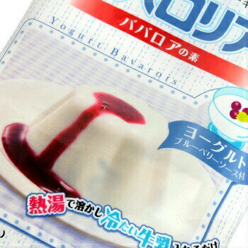 モダン・プロ　2号　楽天市場店の伊那 ババロリア ヨーグルト 500g 25人分 ご家庭でデザートを作りましょう。｜アングル2