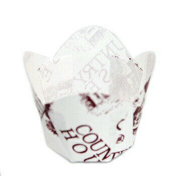 ���塼��åץ��å� �� M−303 10��