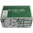 ストレート ストロー細白 紙包装 500本 900 ジュース用 テイクアウト イベント 袋入 業務用