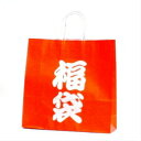 手提袋 HX 福袋 10枚 袋だけ 福袋用の袋 袋のみ ラッピングバッグ 紙袋 定番 業務用 包装資材