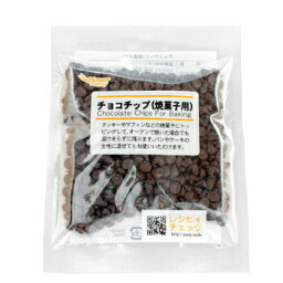 【お買い物マラソンP5倍】チョコチップ 焼菓子用 50g