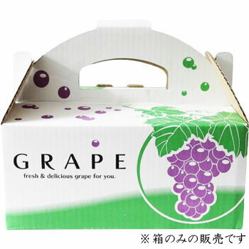 OT−1 ぶどう 1kg 箱 ブドウ箱 箱のみ