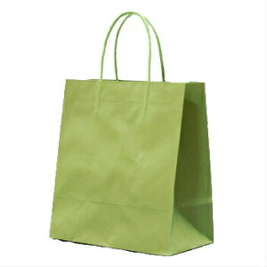 【2/1 P10倍】手提袋 STカラ−ズ グリ−ンティ− 10枚 プレゼント ラッピングバッグ 紙袋 業務用 ギフト
