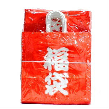 手提袋 HX 福袋 50枚 袋だけ 福袋用の袋 袋のみ 初売り ラッピングバッグ 紙袋 業...