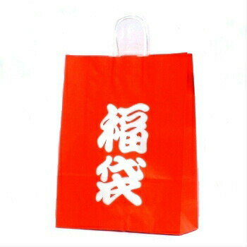 手提袋 HV−100 福袋 10枚 袋だけ 福袋用の袋 袋のみ ラッピングバッグ 紙袋 定番 業務用 包装資材